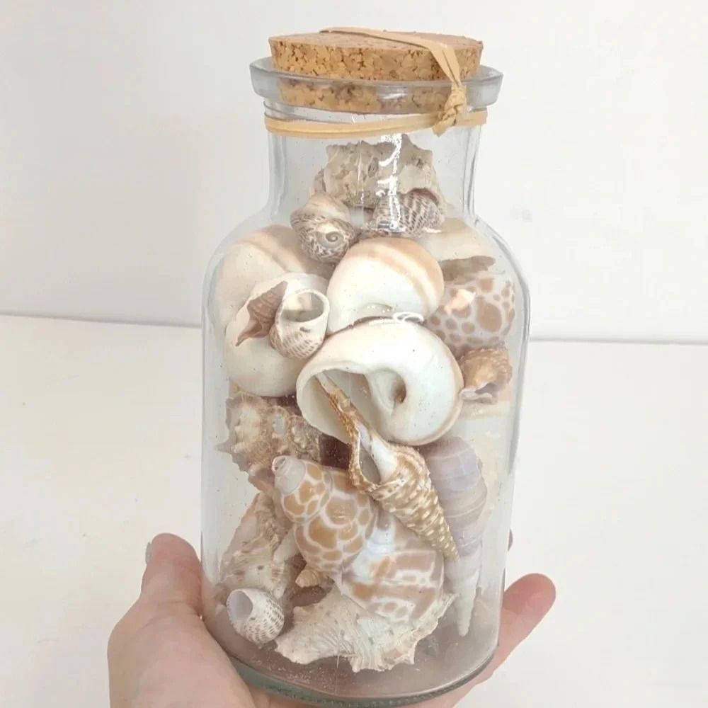 Florida Seashells in Glass Jar with cork Stopper NWOT Handmade Custom Gift